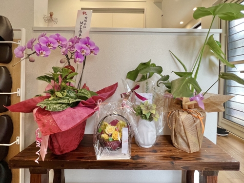 写真 2022-09-03 10 38 38.jpg